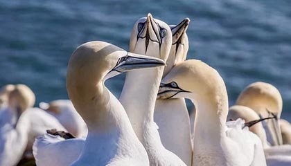 立昂技术：立昂领算云算力平台支持多态算力