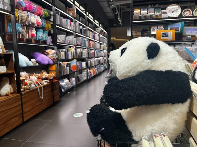时评：北京首店经济向阳而生，增添消费活力
