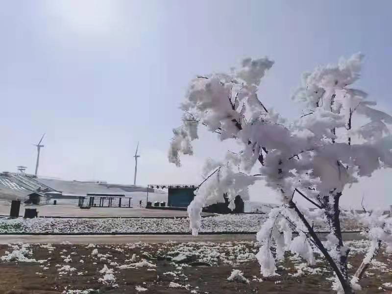 雾凇奇境：龙里油画大草原的冬日魔法