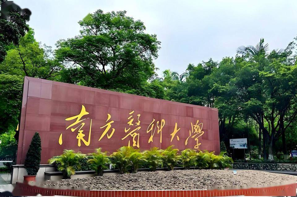 2026泰晤士世界大学排名公布：中国内地97所高校上榜，7所入围全球前100强，可了解