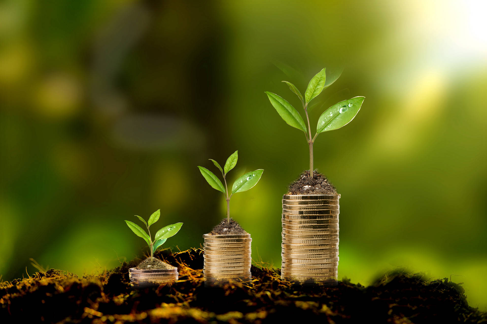 分享如何查询苏商银行交易明细