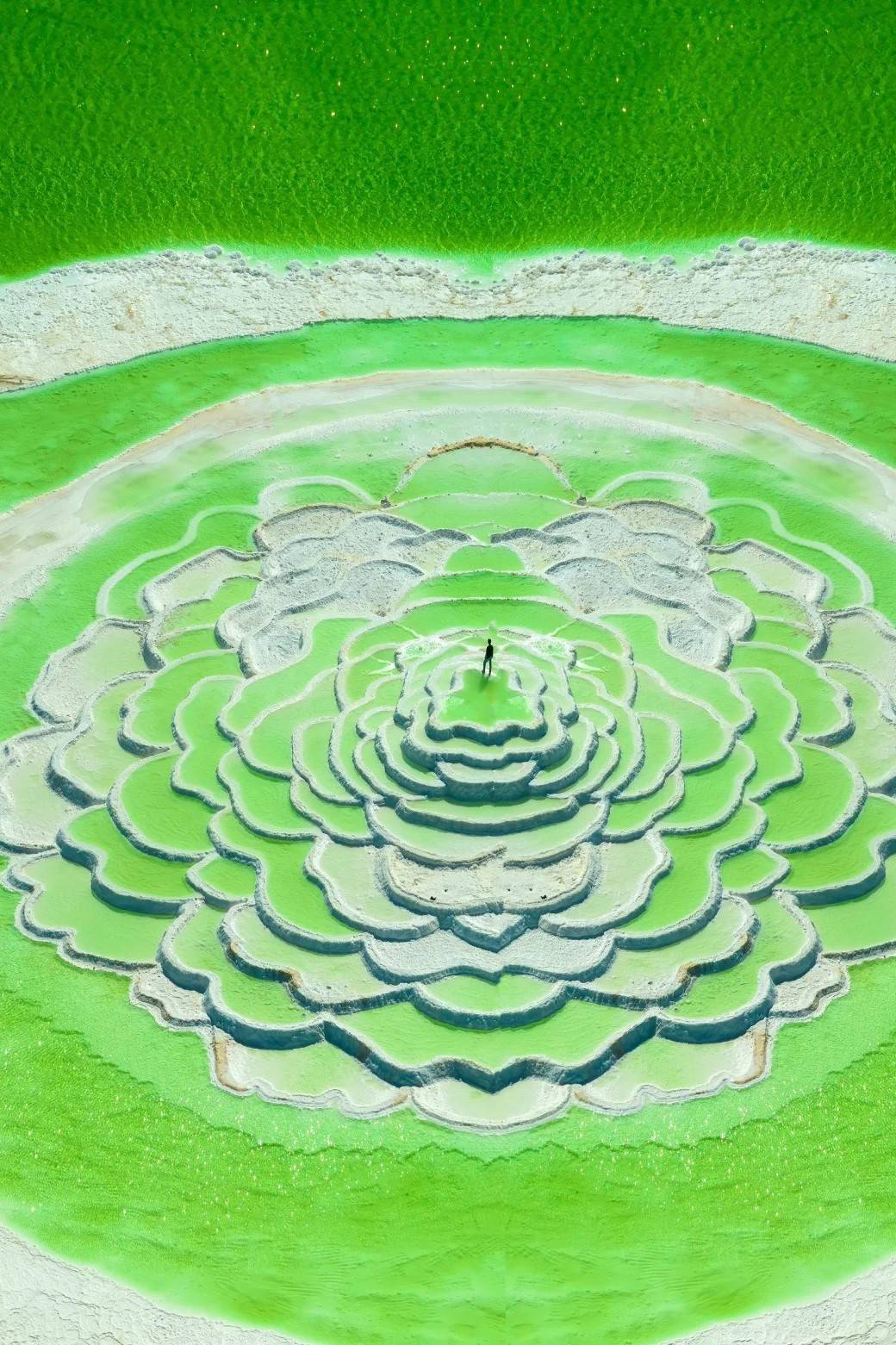 西北环线新攻略，青甘美景全收录，全网刷屏必去地！