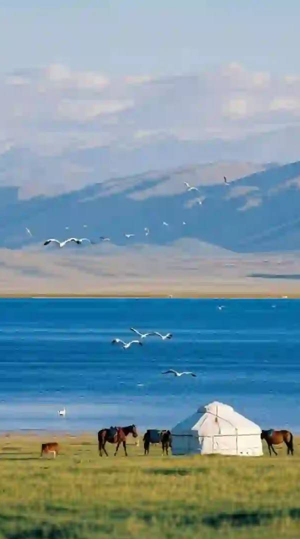 西北环线新攻略,青甘美景全收录,全网刷屏必去地!