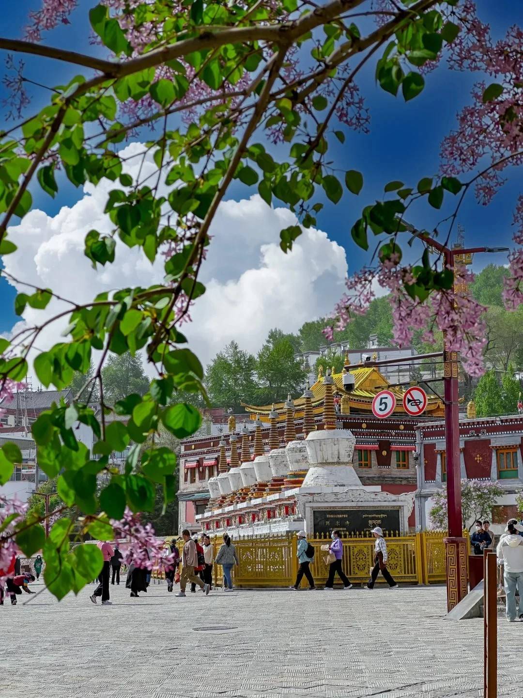 西北大环线新玩法,绝美风光全收录,全网首发快收藏