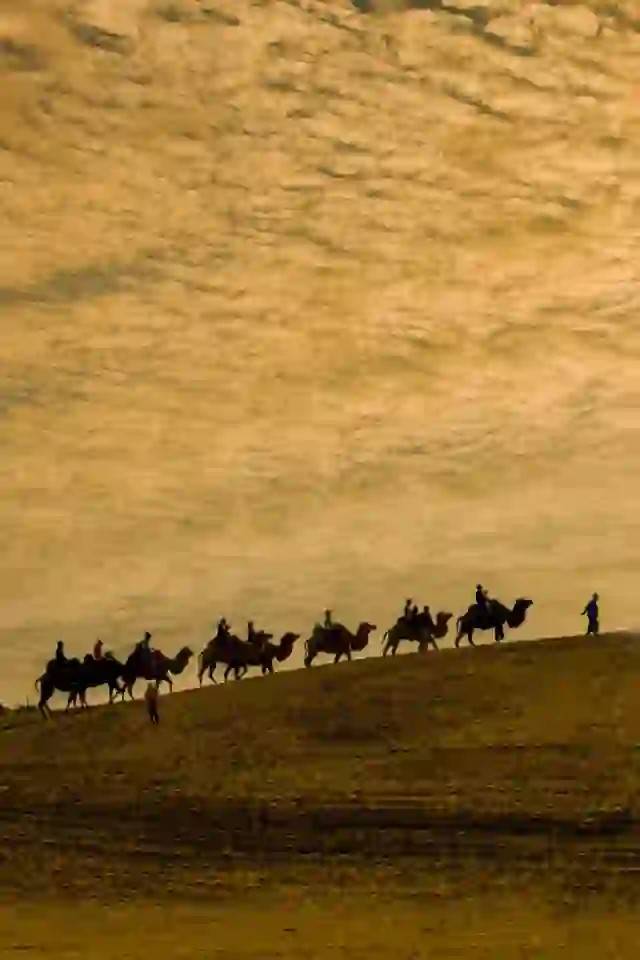 西北大环线新玩法,绝美风光全收录,全网首发快收藏