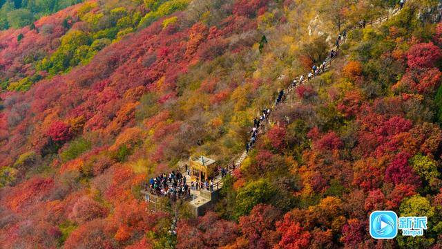霜降时节，来潍坊临朐石门坊赴一场红叶之约！