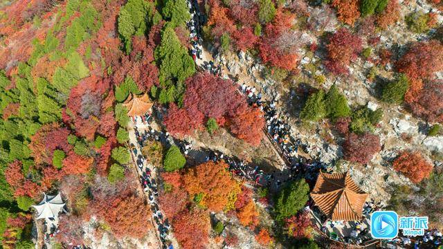 霜降时节，来潍坊临朐石门坊赴一场红叶之约！