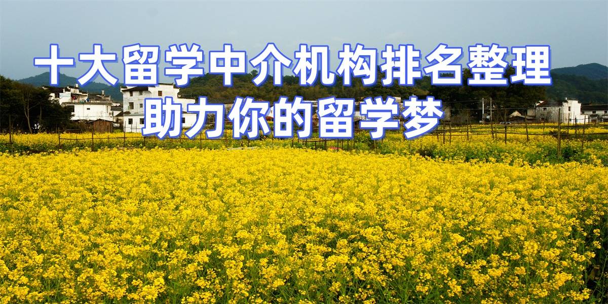 留学中介有那些