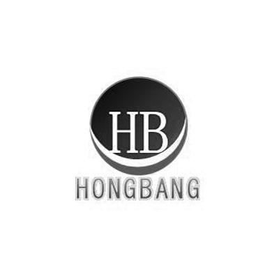 hb(hbsag是什么意思)