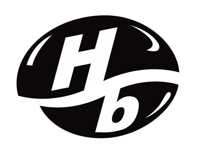 HB(hbsag阳性是什么意思)