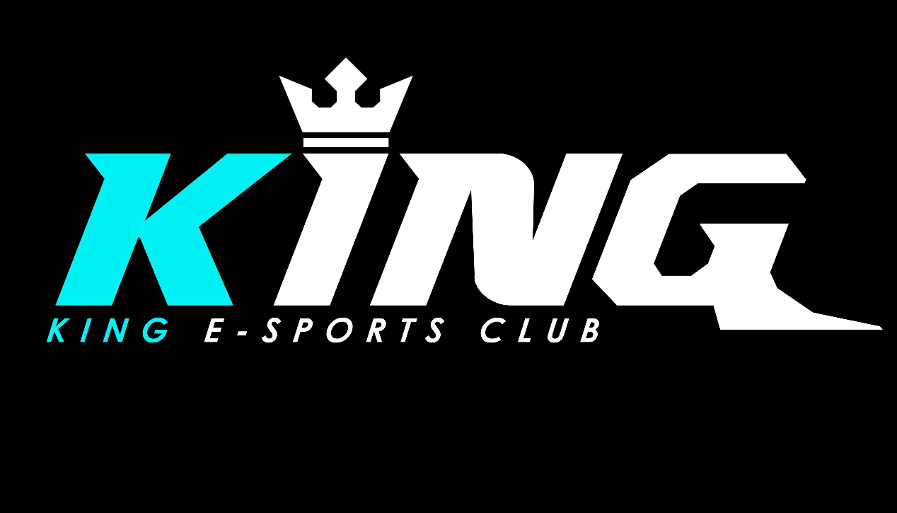 KING(kingdee金蝶)