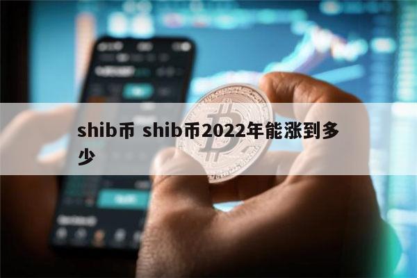 shib币(shib币未来前景)