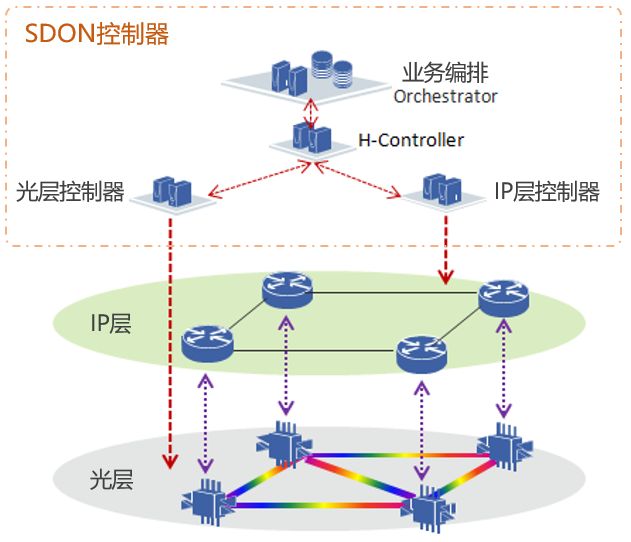 S网(swan官方网站入口)