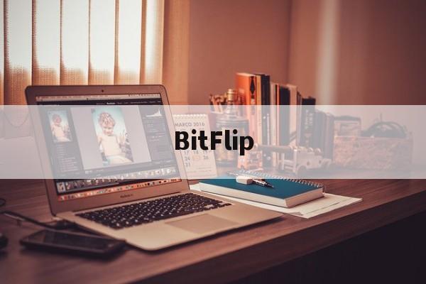 BitFlip(bitflip原理)