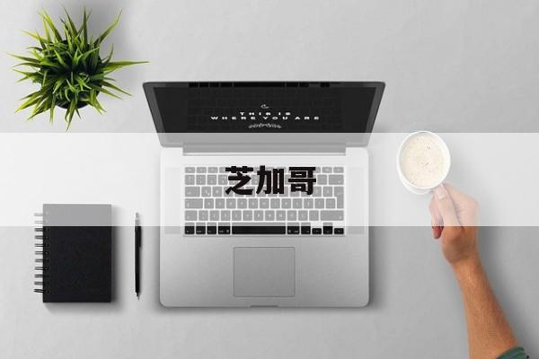 芝加哥(芝加哥独栋别墅房价)