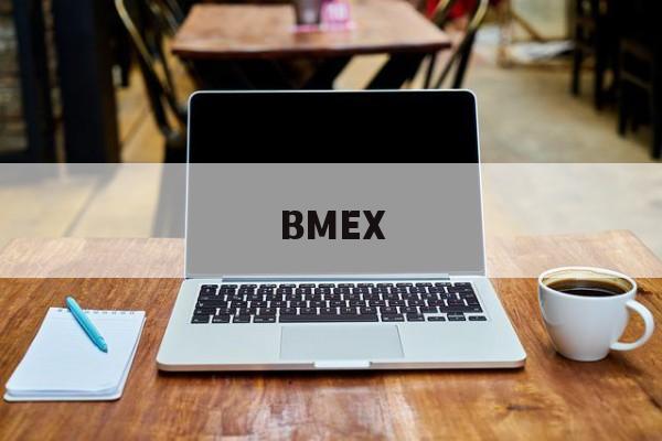 BMEX(贲门恶性肿瘤)